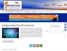 Tablet Screenshot of msrelief.com